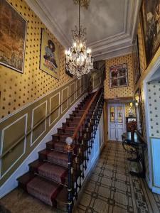 Hôtel de l'Abeille - 15