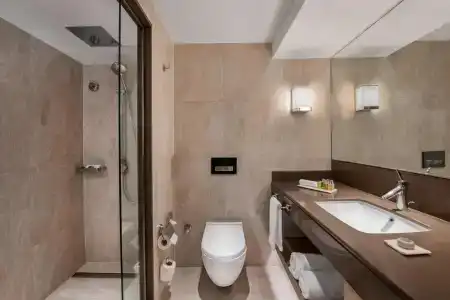 Renaissance Polat Istanbul - 6