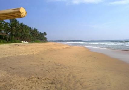Sea Front - 18