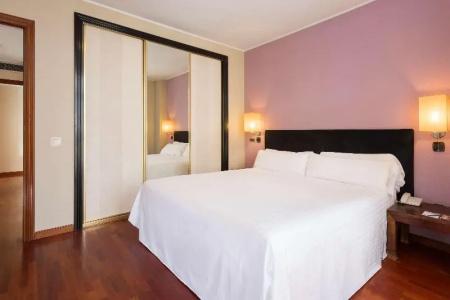Tryp Valladolid Sofia Parquesol - 43