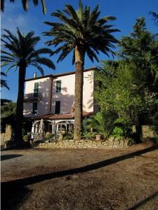 Ristorante Il Caminetto - 13
