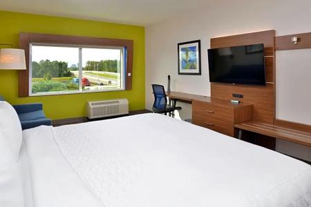 Holiday Inn Express Orlando - South Park, An Ihg - 92