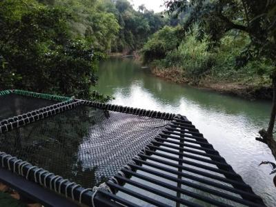 Khaosok River Camp - 35