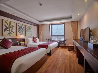 Sapa Freesia - 46
