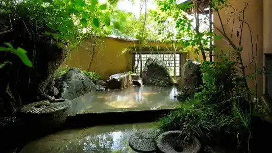 Tsumikusa No Yado Komatsu Ryokan - 2