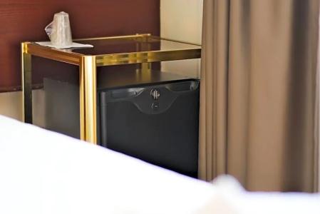 Tulip Inn Beaulieu Lausanne - 55
