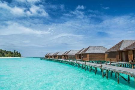 Veligandu Island Resort & Spa - 22