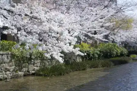 Jeugiya - 38