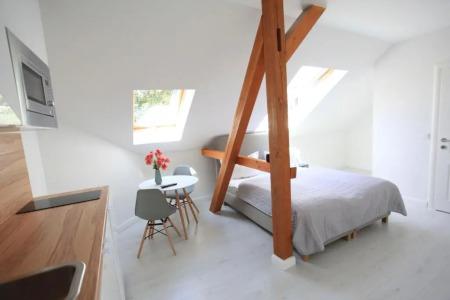 Zollikof Aparts - Sauna & Studio - 116