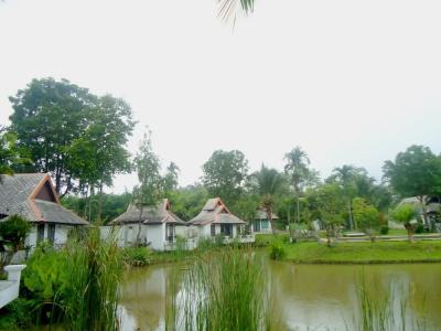 Bura Lumpai - 47