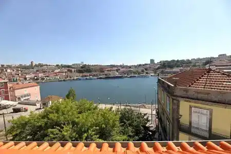 Memoria Porto Flhs - 123