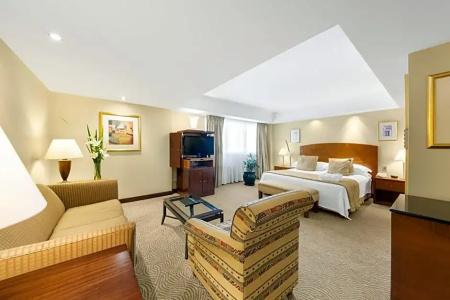 Melia Buenos Aires - 127