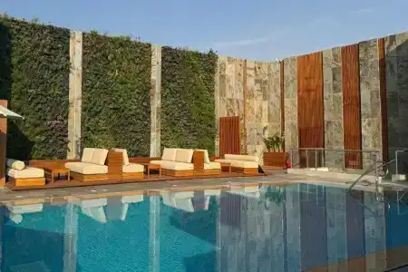 Baron Cairo - 5