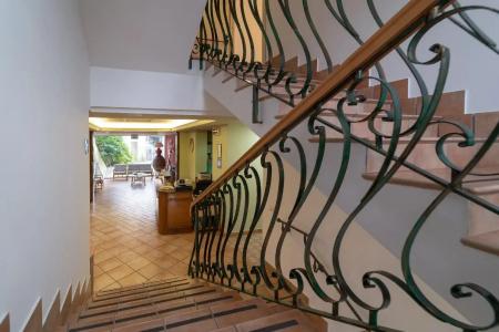Il Ceppo - 23