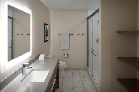 Hawthorn Suites by Wyndham DFW Airport North - 8