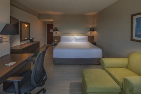 Holiday Inn Puebla La Noria, An Ihg - 30