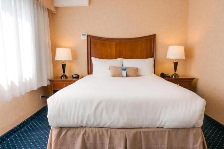 Best Western Plus Suites Downtown - 81