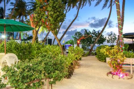 Salt Beach - 23