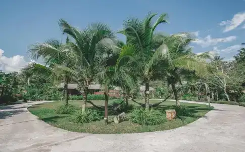 Ban Sainai Resort- Sha Extra Plus - 19
