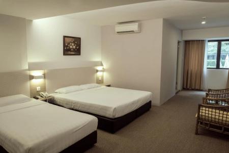 Vip (Sg Clean) - 45