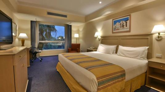 Holiday Inn Cordoba, An Ihg - 36