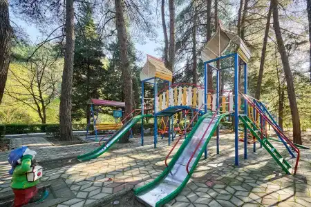 Янтарь - 16