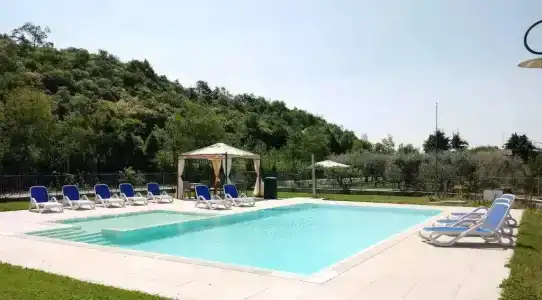 Agli Ulivi - 29