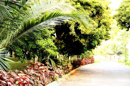 Vgp Golden Beach Resort - 5