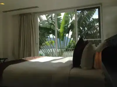 Jirana Patong - 200