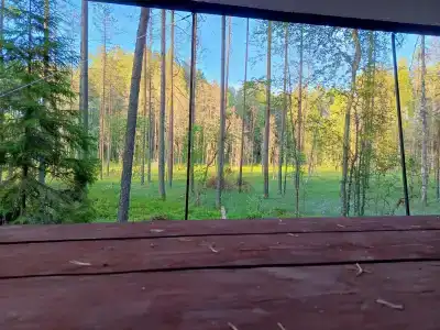 Эколес - 16