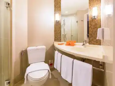ibis Siam - 9