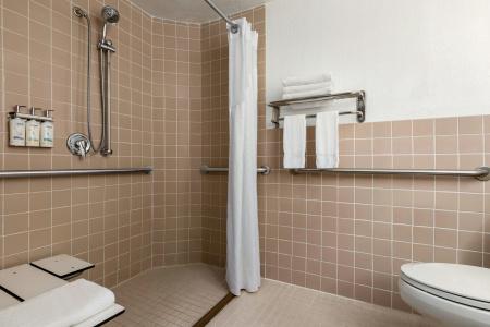 Holiday Inn Miami Beach-Oceanfront, an IHG - 44
