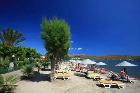 Parkim Ayaz - 23