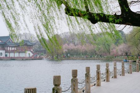 Sheraton Nanjing Kingsley & Towers - 123