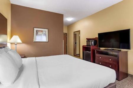 Comfort Inn & Suites - 31