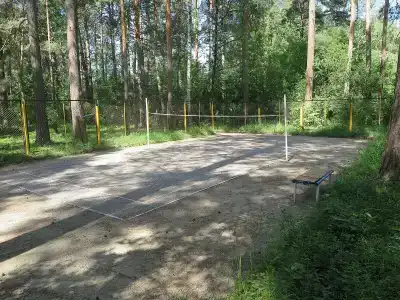 Ельцовка - 14