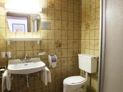Gasthof Pension Madseiterhof - 63