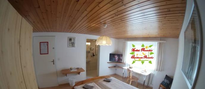 Paradis-Leukerbad-Therme - 17