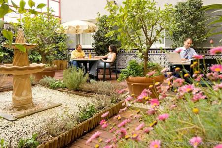 Ibis Granada - 18