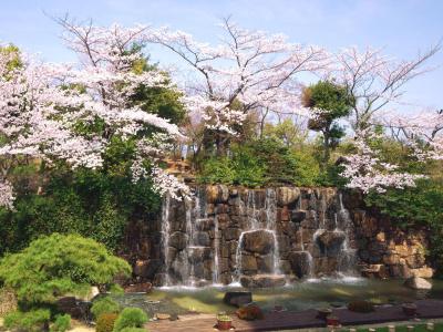 Okayama International - 14