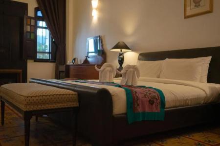 Areca Penang - 48