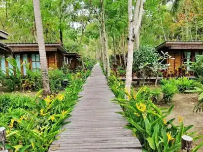 Jungle Koh - 64