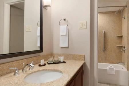 Embassy Suites by Hilton - 52