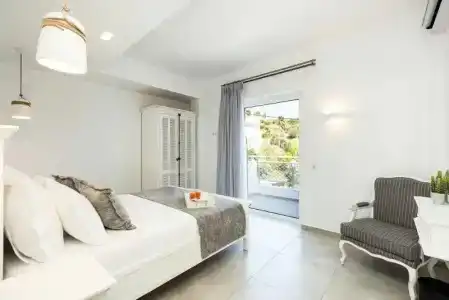 Cyano - 65