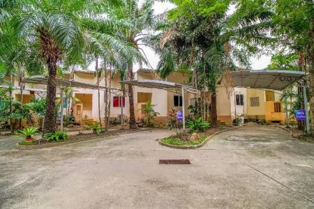 OYO 442 Suan Palm Garden View - 12