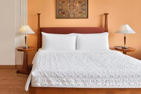 Le Meridien Jaipur Resort & Spa - 61