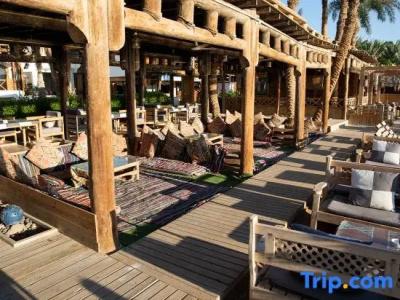 Penguin Village Dahab - 74
