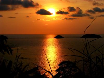 Paradise Bungalows - 6