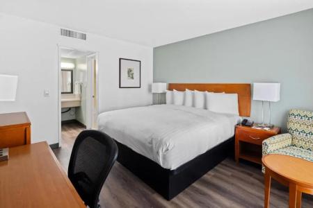 Vagabond Inn - 51