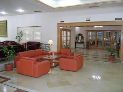 Sun Palm - 27